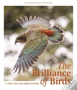 Capa do artigo Brilliance Of Birds