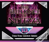 Brilliance Of Netezza
