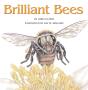 Brilliant Bees - Preview