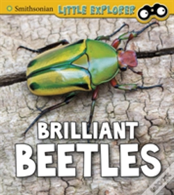 Capa do artigo Brilliant Beetles
