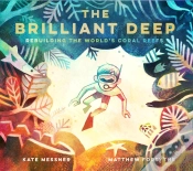 Capa do artigo Brilliant Deep