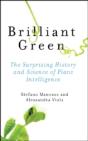 Brilliant Green - Preview