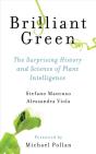 Brilliant Green - Preview