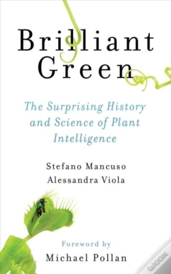 Capa do artigo Brilliant Green