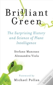 Capa do artigo Brilliant Green