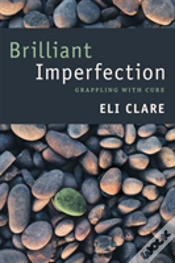 Capa do artigo Brilliant Imperfection