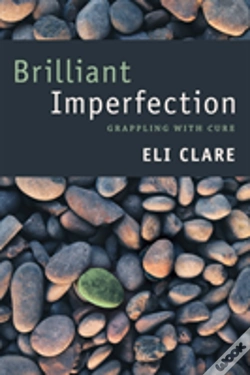 Capa do artigo Brilliant Imperfection