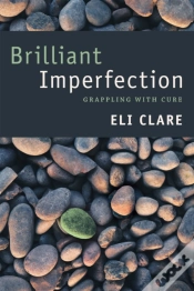 Capa do artigo Brilliant Imperfection