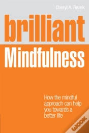 Capa do artigo Brilliant Mindfulness