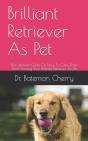 Brilliant Retriever As Pet - Preview