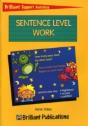 Brilliant Support Activitiessentence Level Work - Preview