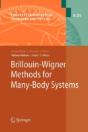 Brillouin-Wigner Methods For Many-Body Systems - Preview