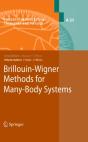 Brillouin-Wigner Methods For Many-Body Systems - Preview