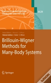 Brillouin-Wigner Methods For Many-Body Systems