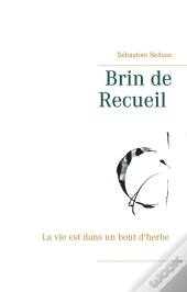 Brin De Recueil ; La Vie Est Dans Un Bout D'Herbe