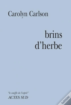 Capa do artigo Brin D'Herbe
