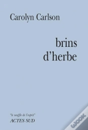 Capa do artigo Brin D