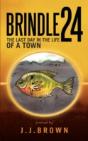 Brindle 24 - Preview