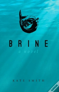 Capa do artigo Brine
