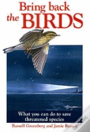 Capa do artigo Bring Back The Birds