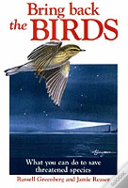Capa do artigo Bring Back The Birds