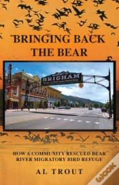 Capa do artigo Bringing Back The Bear