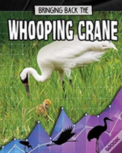 Capa do artigo Bringing Back The Whooping Crane