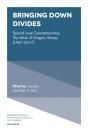 Bringing Down Divides - Preview