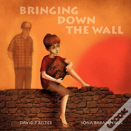 Bringing Down The Wall