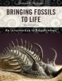 Bringing Fossils To Life - Preview