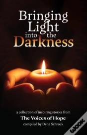 Capa do artigo Bringing Light Into The Darkness