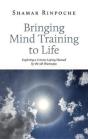Bringing Mind Training To Life - Preview