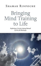 Bringing Mind Training To Life