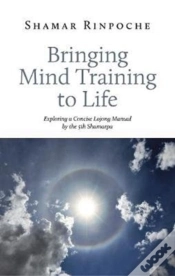 Capa do artigo Bringing Mind Training To Life