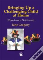 Bringing Up A Challenging Child At Home