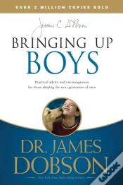Capa do artigo Bringing Up Boys