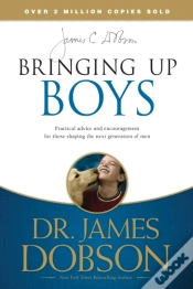 Capa do artigo Bringing Up Boys