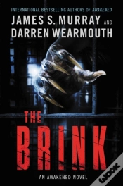 Capa do artigo Brink