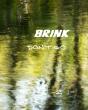 Brink - Preview