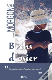 Capa do artigo Brins D