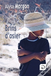 Capa do artigo Brins D