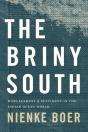 Briny South - Preview