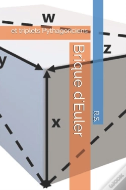 Capa do artigo Brique D'Euler