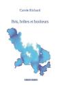 Bris, Bribes Et Bonheurs - Preview