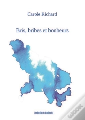 Bris, Bribes Et Bonheurs