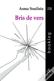Capa do artigo Bris De Vers