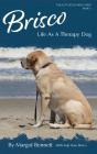 Brisco, Life As A Therapy Dog - Preview