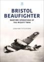Bristol Beaufighter - Preview