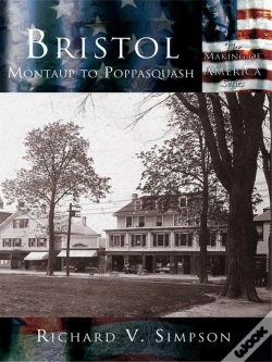Capa do artigo Bristol