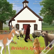 Capa do artigo Bristol